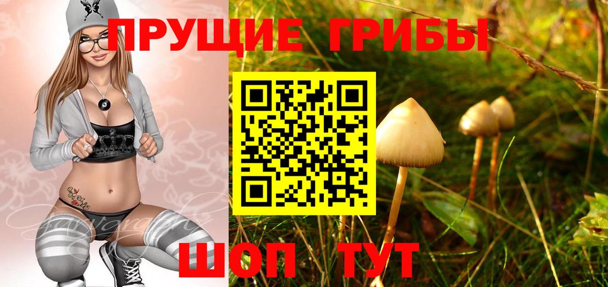 Сергиев Посад  Галлюциногенные грибы ЛСД  Вход с VPN  Псилоцибиновые грибы MAGIC MUSHROOMS 